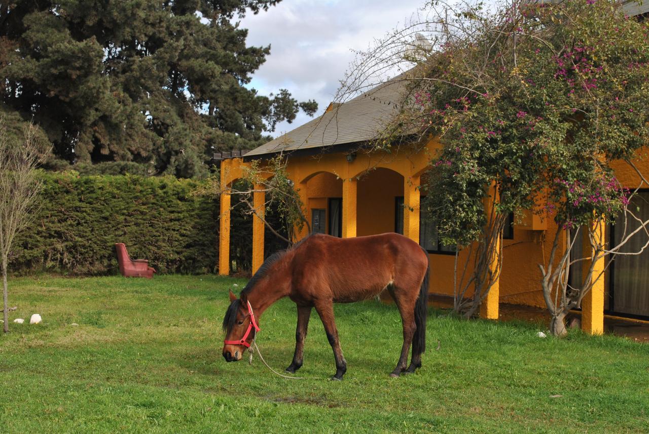 Felice Affittacamere La Serena Esterno foto